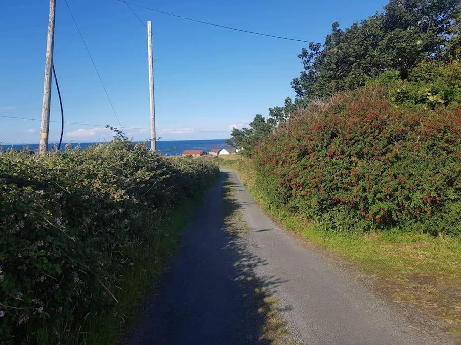 Coastal Cottage Dromore West المظهر الخارجي الصورة